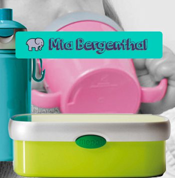 Name Lunch Box Stickers