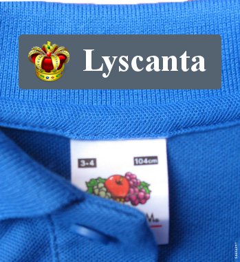 Iron On Clothing Labels Personalized